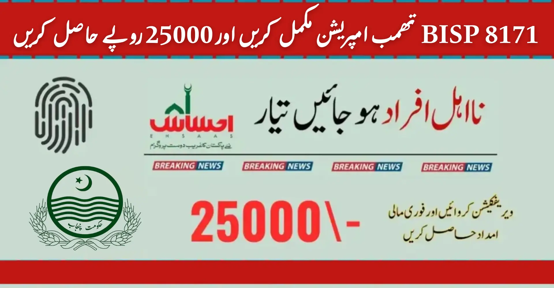 BISP Program 8171 Thumb Verification