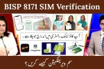 BISP 8171 SIM Verification