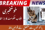 Punjab Orders Mandatory Registration of Pet Dogs to Prevent Incidents